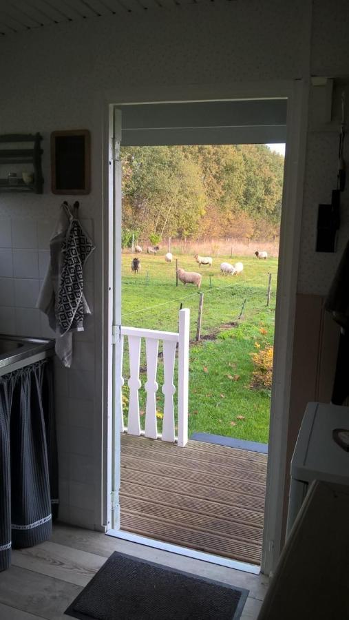 Pipowagen Elsebein Groningen Westerwolde Unieke Ligging Met Eigen Tuin En Vrij Uitzicht Over Veld Naar Natuurgebied Onstwedde Экстерьер фото