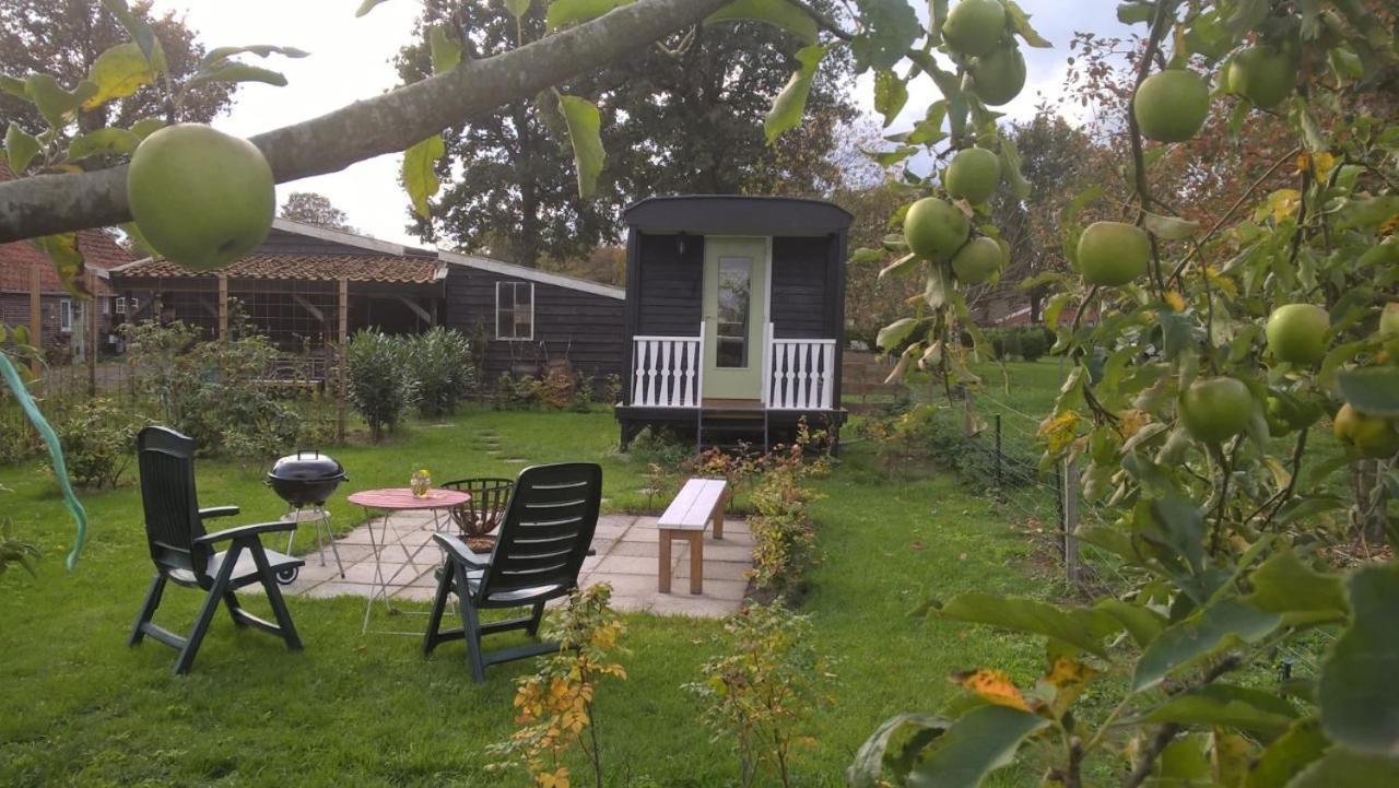 Pipowagen Elsebein Groningen Westerwolde Unieke Ligging Met Eigen Tuin En Vrij Uitzicht Over Veld Naar Natuurgebied Onstwedde Экстерьер фото