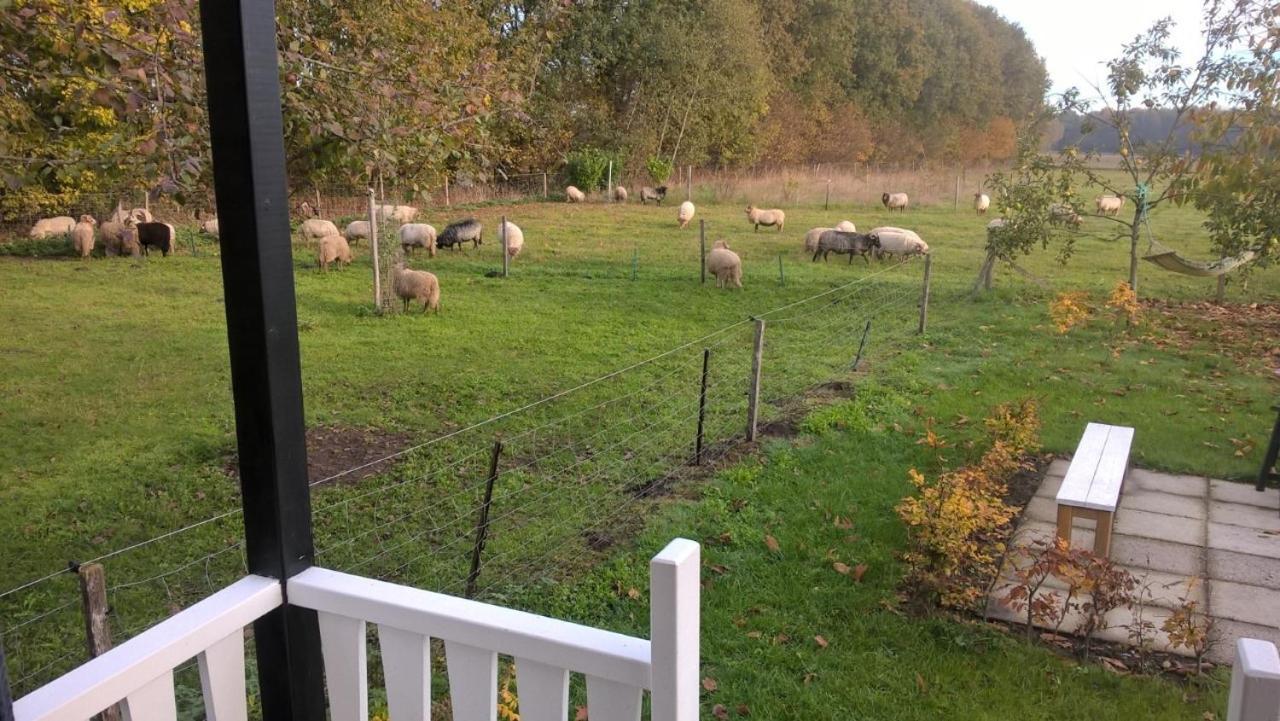 Pipowagen Elsebein Groningen Westerwolde Unieke Ligging Met Eigen Tuin En Vrij Uitzicht Over Veld Naar Natuurgebied Onstwedde Экстерьер фото