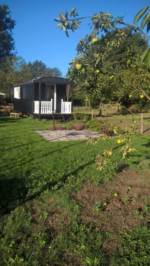Pipowagen Elsebein Groningen Westerwolde Unieke Ligging Met Eigen Tuin En Vrij Uitzicht Over Veld Naar Natuurgebied Onstwedde Экстерьер фото