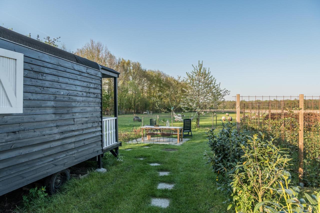 Pipowagen Elsebein Groningen Westerwolde Unieke Ligging Met Eigen Tuin En Vrij Uitzicht Over Veld Naar Natuurgebied Onstwedde Экстерьер фото